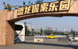 -恐龙探索乐园(磁器口店)