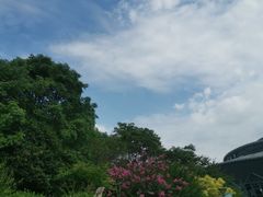 -杭州城北体育公园