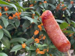 -杭州半山国家森林公园