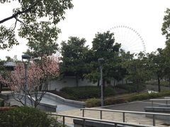 -蠡湖大桥公园