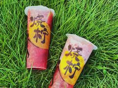 桃李柠檬茶-烧柠·柠檬茶(大融城店)