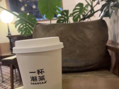 -一杯潮茶·专注潮汕茶饮(朝阳庄店)
