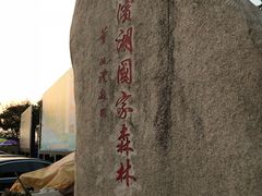 -合肥滨湖国家森林公园