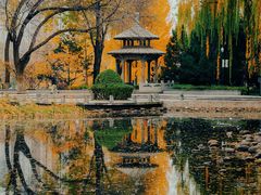 -玲珑塔公园