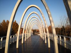 -大兴滨河森林公园