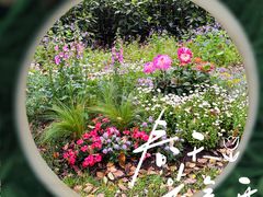 -共青国家森林公园-售票处