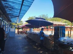 -尚庄度假村·庭台树下·户外烧烤·团建CS·轰趴营地(上庄水库店)