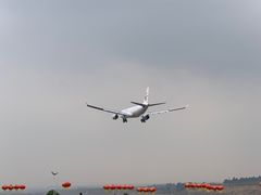 -空港花田景区