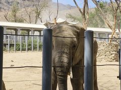 -新疆天山野生动物园