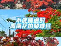 -厦门明发国际大酒店(会展中心环岛路店)