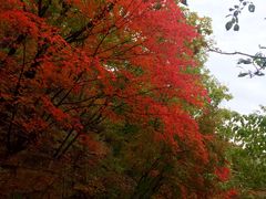 -丹东天桥沟景区