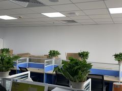 -新航道雅思托福·留学·考研培训(人民广场校区)