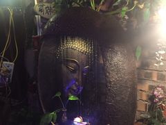-树洞桌游宠咖小酒馆