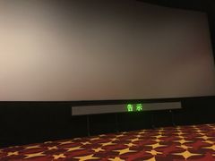 -AMG海上明珠影城(上海环球港RealDCinema店)