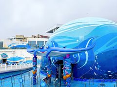 -海合安青岛极地海洋公园