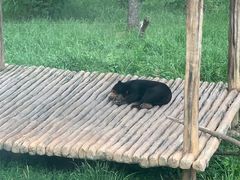 -上海野生动物园