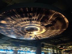 德国帕拉娜自酿啤酒餐厅Paulaner&nbsp;Brauhaus-Paulaner·德国帕拉娜自酿啤酒餐厅(海上世界店)