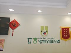 -艾吉宠物医院·疑难杂症转诊中心·猫友好(碧江路院)