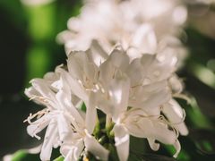 -豆舞咖啡(民乐路店)