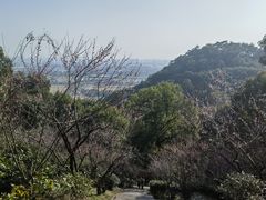 -宁波市保国寺古建筑博物馆