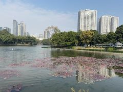 -荔湾湖公园