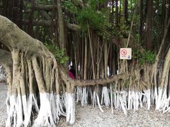 -胡里山炮台