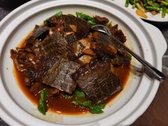 甲鱼-同庆楼(滨湖万达广场店)