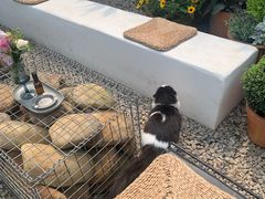 -自由生长植物工作室(深港花卉中心店)