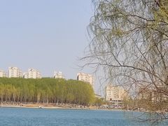 -香山公园