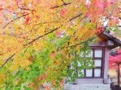 -常寂光寺