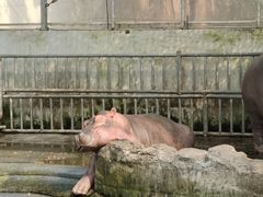 -宁波野生动物园