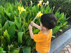 -上海滴水湖皇冠假日酒店