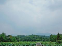 -清漾毛氏文化村