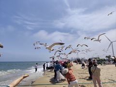 -那香海钻石沙滩浴场