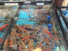 -猪肉婆私房菜(容桂总店)