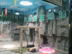 -栾川竹海野生动物园