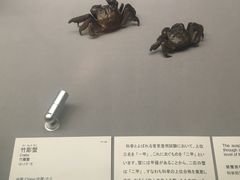 -东京国立博物馆