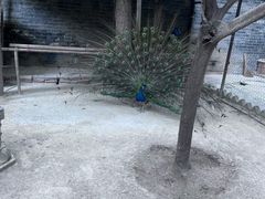 -罔极寺
