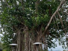 -太平山餐厅(山顶道店)