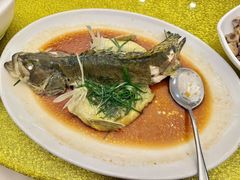 -黄埔华苑酒家(黄埔总店)