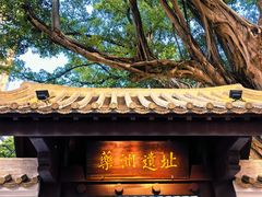 -越秀西湖花市(广州城市广场花卉店)