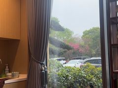 -绿雪芽白茶(浙大华家池校区凯旋路店)