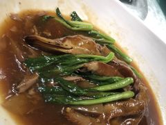 -松云泽