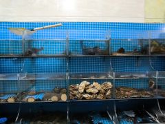 -宾朋海鲜饭庄(兴海路店)