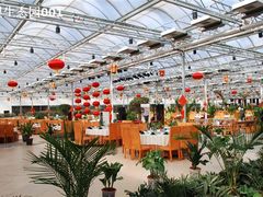 大厅-龙凤山庄(永定镇店)