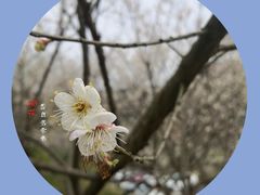 -福建天门山