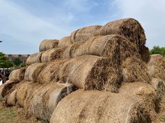 -歌斐颂巧克力小镇