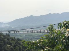-南丹山森林王国