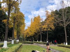 -苏州河梦清园环保主题公园