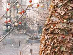 -腾爱熊猫咖啡生活馆(老东门店)